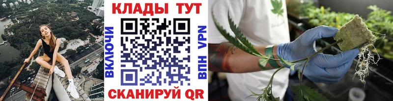 Какие есть наркотики Светлоград Кокаин  МАРИХУАНА  Мефедрон  МЕГА ONION  НБОМе  ГАШ  Alpha-PVP 
