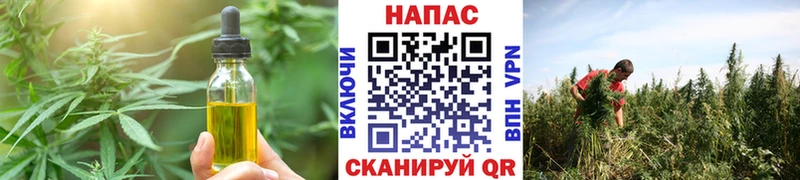 Еда ТГК конопля  Светлоград 