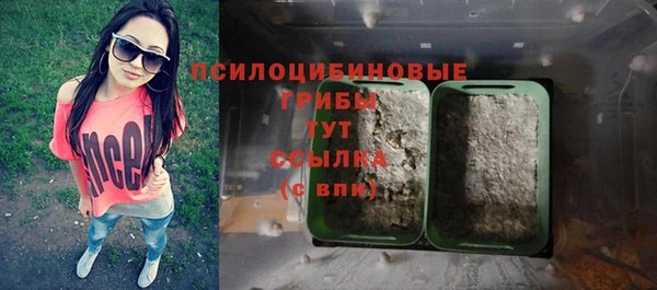 spice Алексин