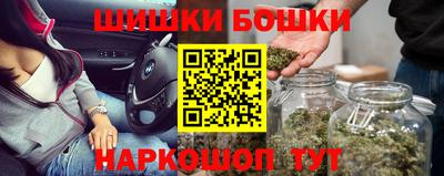 МДПВ Партизанск