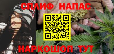МДПВ Партизанск