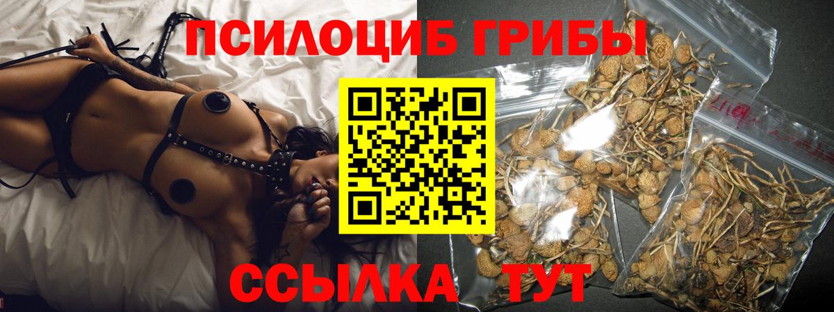 Псилоцибиновые грибы Psilocybine cubensis  где купить наркоту  Светлоград  Вход с VPN 
